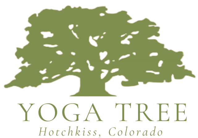 Hotchkiss Yoga Tree